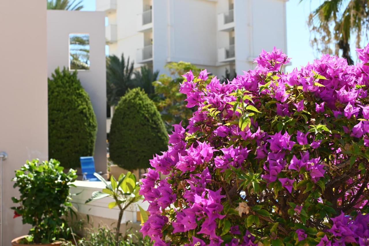 Отдыхайте С Удовольствием Paphos Luaran gambar